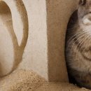 칠보산업 이미지