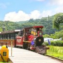 에코랜드 이미지