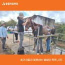 별빛하루 이미지