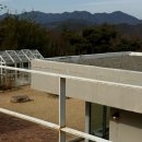 동반 | 청도 | 대구근교 마운틴뷰&amp;브런치맛집 카페 ‘아미꼬뜨’ 애견동반 후기