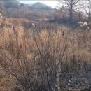 덕천리 티스토리