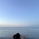 드헤브 제주 이미지