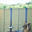 온천게임장 이미지