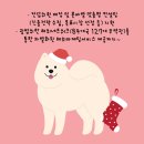 글로벌세무회계컨설팅 이미지