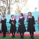 락희거리 이미지