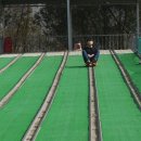 경주치즈학교