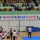 용인대최우수체육관 이미지