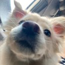 멍블리하우스 이미지