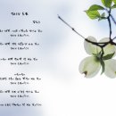 허가네찜닭 이미지