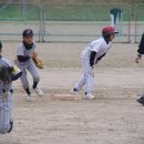 제주남초등학교 이미지