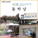 동박낭 | 제주도 동백꽃 명소 추천 제주 동박낭 카페 위미리 동백군락지