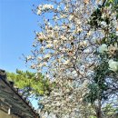 호포농장 이미지