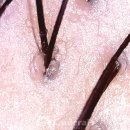 반석미용실 - 목포시 만세로2번길 11-2 | 반석미용실