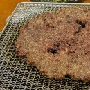 태양구이구이 | 태양구이구이