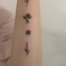 빌라드스킨피부과의원 이미지