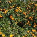 정인농장 이미지