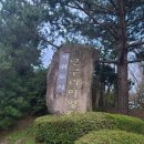 국악힙합 융복합 퓨전콘서트 무브먼트코리아IN서귀포 | 제주도 캠핑장 가을여행 가족여행 모구리야영장 2박 3일 후기(1)