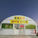 영일농원 | 포항 흥해 망천리 미나리삼겹살 맛집 영일농원