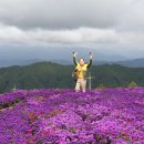 아스타축제 이미지