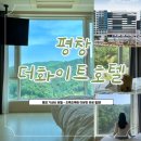 [평창] 더화이트호텔 - 내돈내산 강원도 평창 여행 가성비숙소 스탠다드더블, 스탠다드플러스 룸 후기