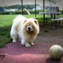 애개 하우스 이미지