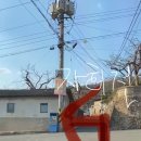 금마면 가야마을회관 | [반려견 동반] 경북 청도 림스테이 독채 펜션ㅣ내돈내산 6인 가족 1박 2일 후기