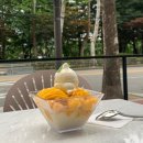 잠실 석촌호수 맛집 &#39;니커버커베이글 잠실점&#39; 브런치, 망고빙수 후기