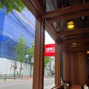 신사역 5번출구 앞 횡단보도 이미지