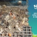 굴축제 이미지