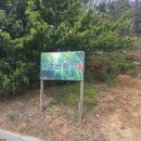 힐링산책코스 | 당진여행 갈만한곳 힐링산책코스 면천읍성 대숲바람길 다녀온후기