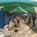 광장36호 이미지