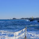 죽도농장 | 양양 여행 코스, 휴휴암에서 본 황어 물고기떼(광어바위, 방생 후기 및 시간)