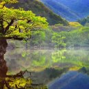 (주)청송관광 이미지