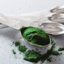 마이크로알지에스크어스 이미지