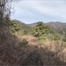 거제시일운면망치보건진료소 이미지