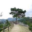 [서울] 서울 도심의 신선한 명소 ~ 윤동주 시인의 언덕 (윤동주소나무/문학관, 부암동) 이미지