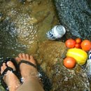 한민농장 이미지