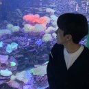 월드나이트 | 롯데월드 아쿠아리움 별밤 나이트 후기