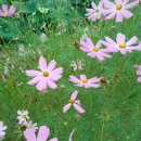 길따라행운 이미지