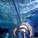 승마체험코스 이미지