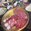 한우사랑동물병원 이미지