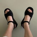 248 이미지