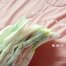시러비아