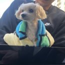 안경박사전대점 | 뒤죽박죽