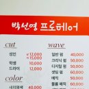 박선영프로헤어