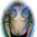 명동뉴스타 이미지