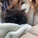 모두애동물병원 이미지