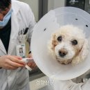 서울동물병원 앞 이미지