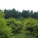 기호농장 이미지