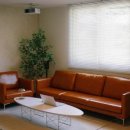 스테이 원평호 이미지